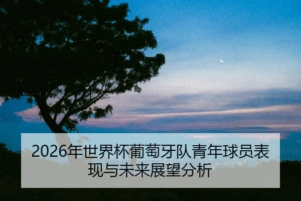 nian-shi-jie-bei-pu-tao-ya-dui-qing-nian-qiu-yuan-biao-xian-yu-wei-lai-zhan-wang-fen-xi-2-276.jpg