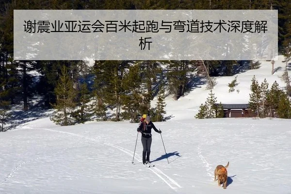 谢震业亚运会百米起跑与弯道技术深度解析